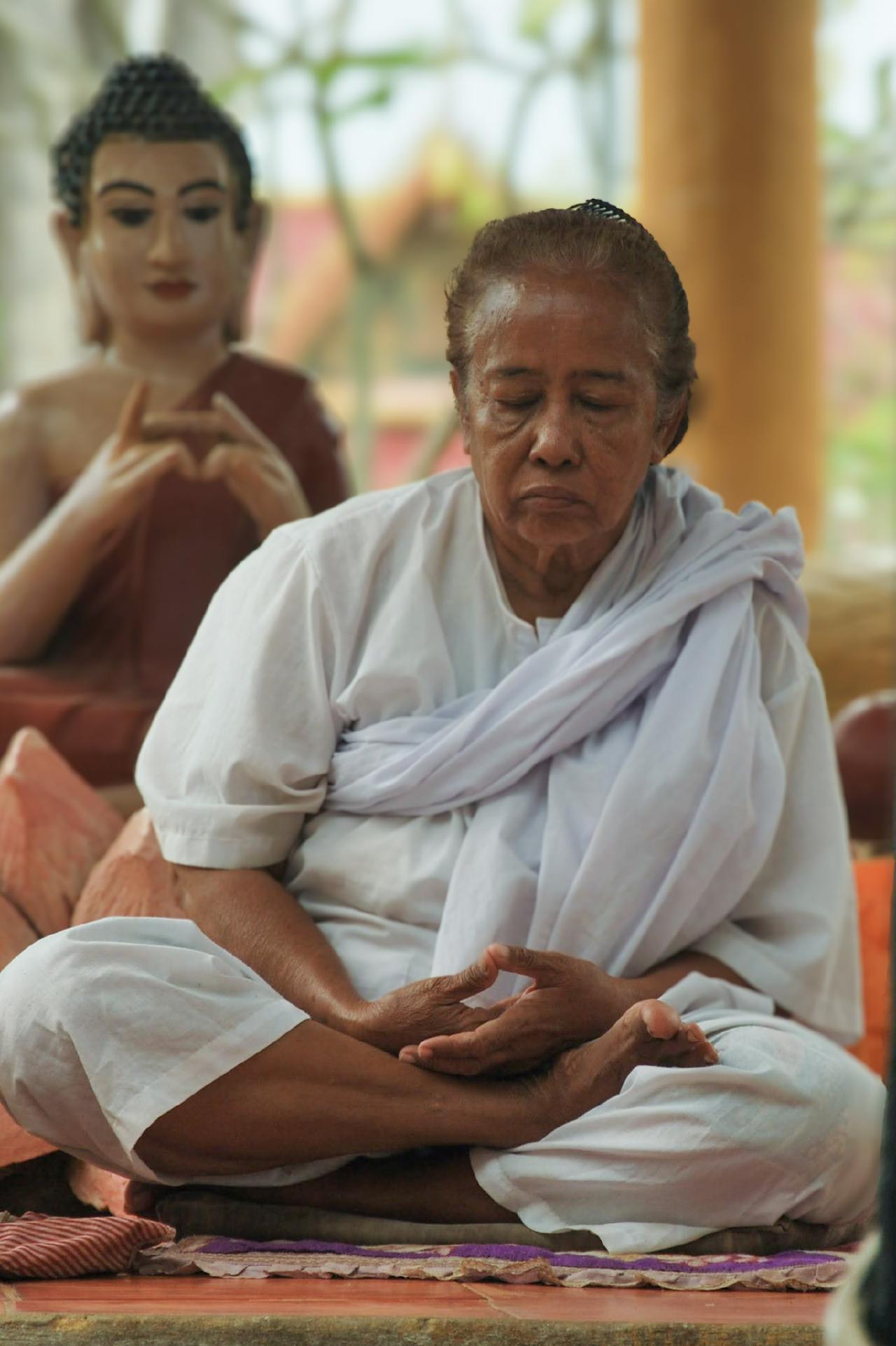 Meditating monk framed by golden pagoda statues